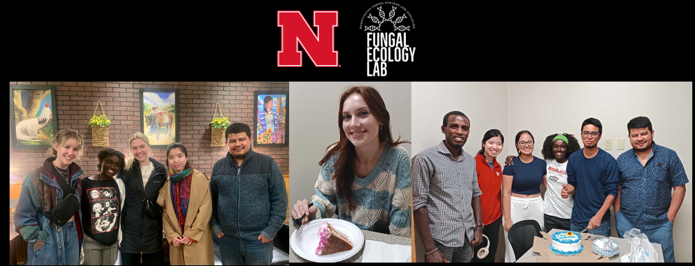 The Fungal Ecology Lab