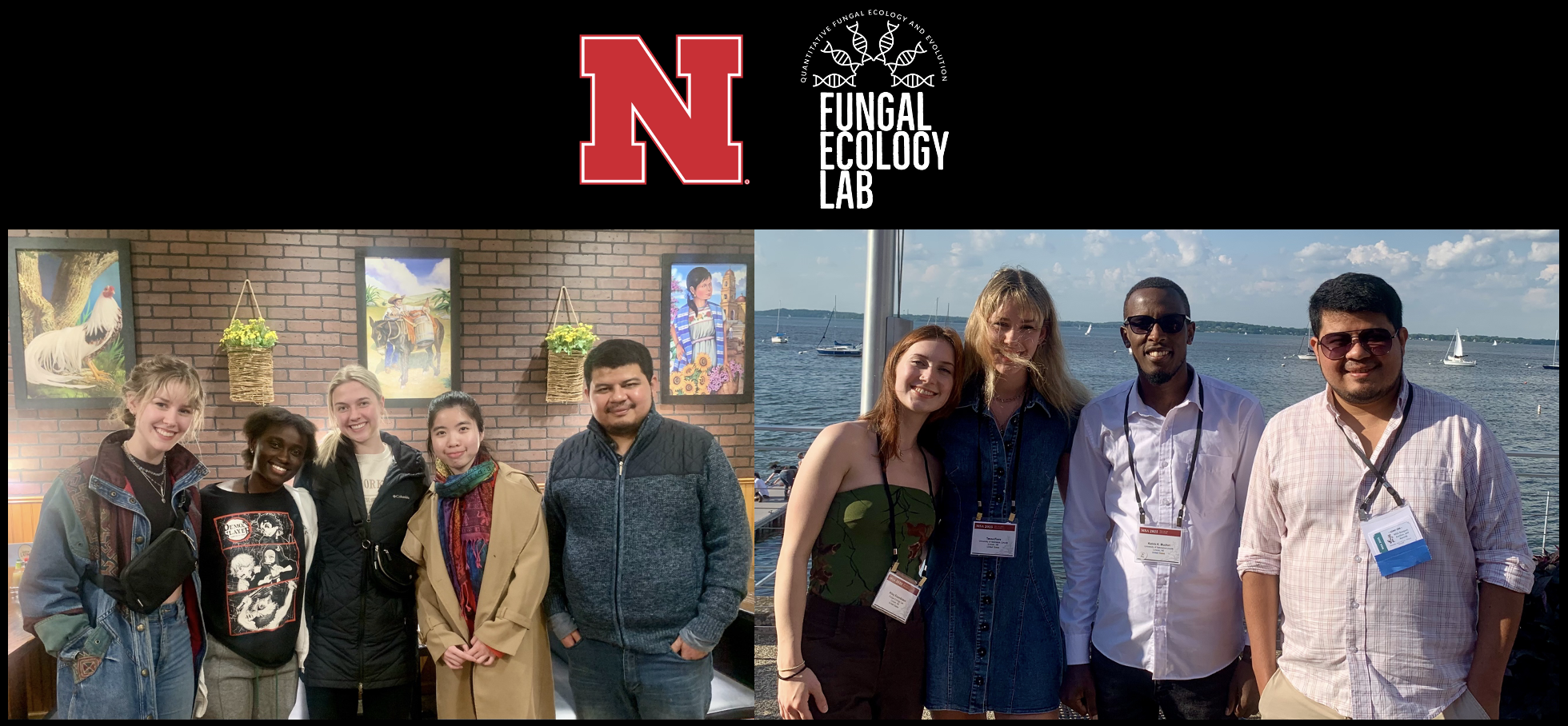 The Fungal Ecology Lab