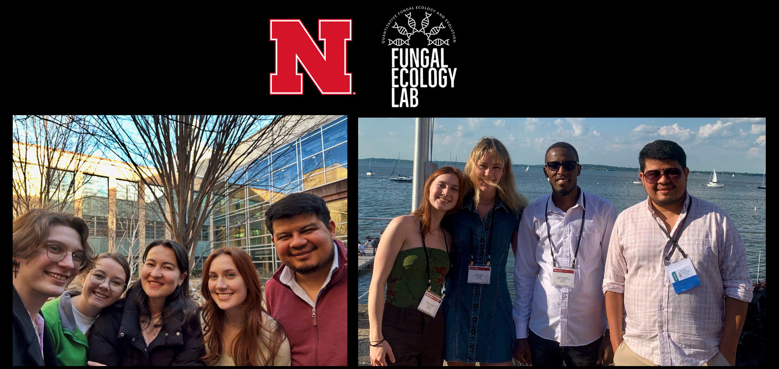 The Fungal Ecology Lab