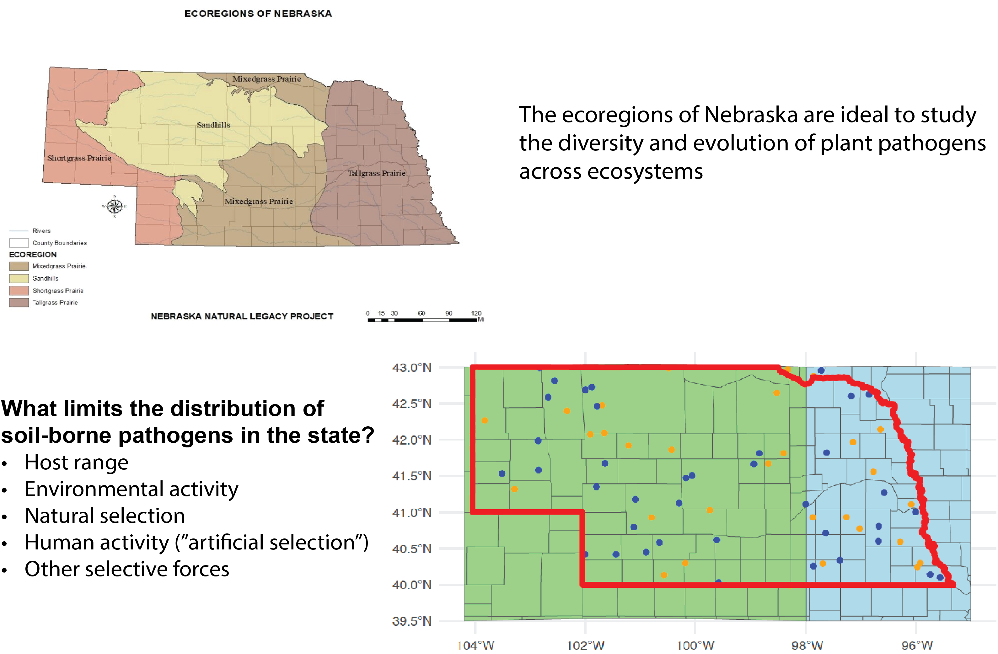 What limits the distribution and host range of soil-borne pathogens?