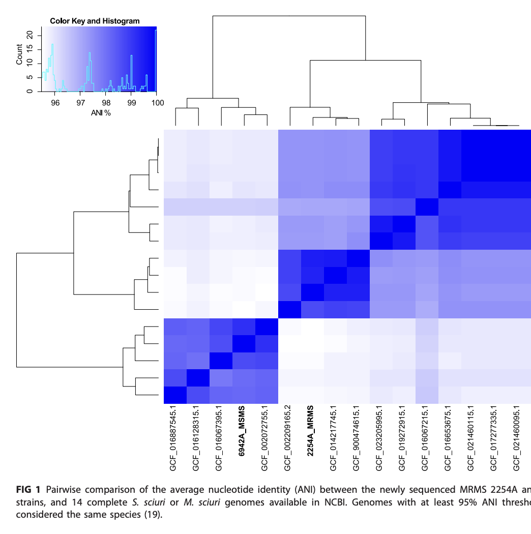 Genome sequencing of methicillin-resistant and methicillin-susceptible Mammaliicoccus sciuri from diseased animals