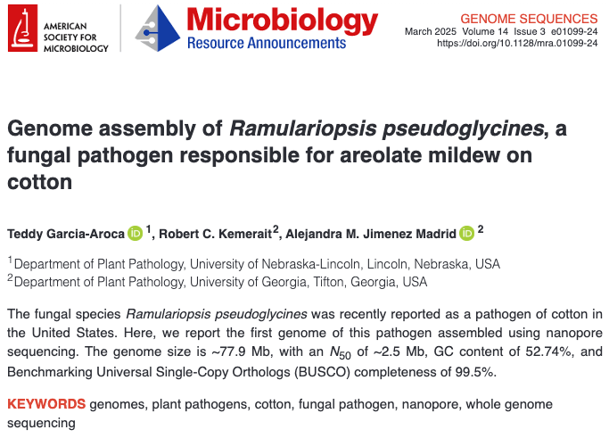 Genome assembly of Ramulariopsis pseudoglycines, a fungal pathogen responsible for areolate mildew on cotton